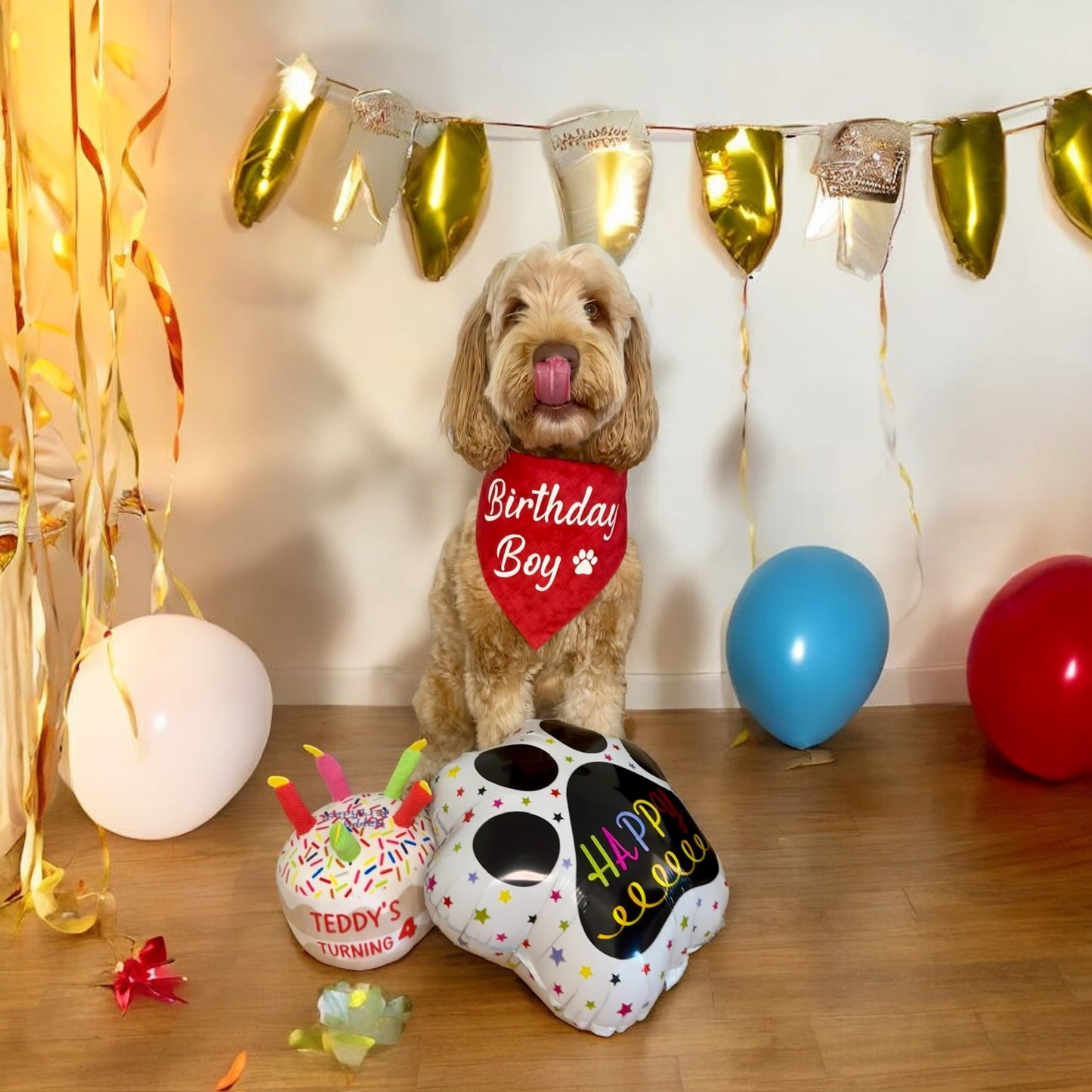 Birthday Package - Bandana, toy & Balloon