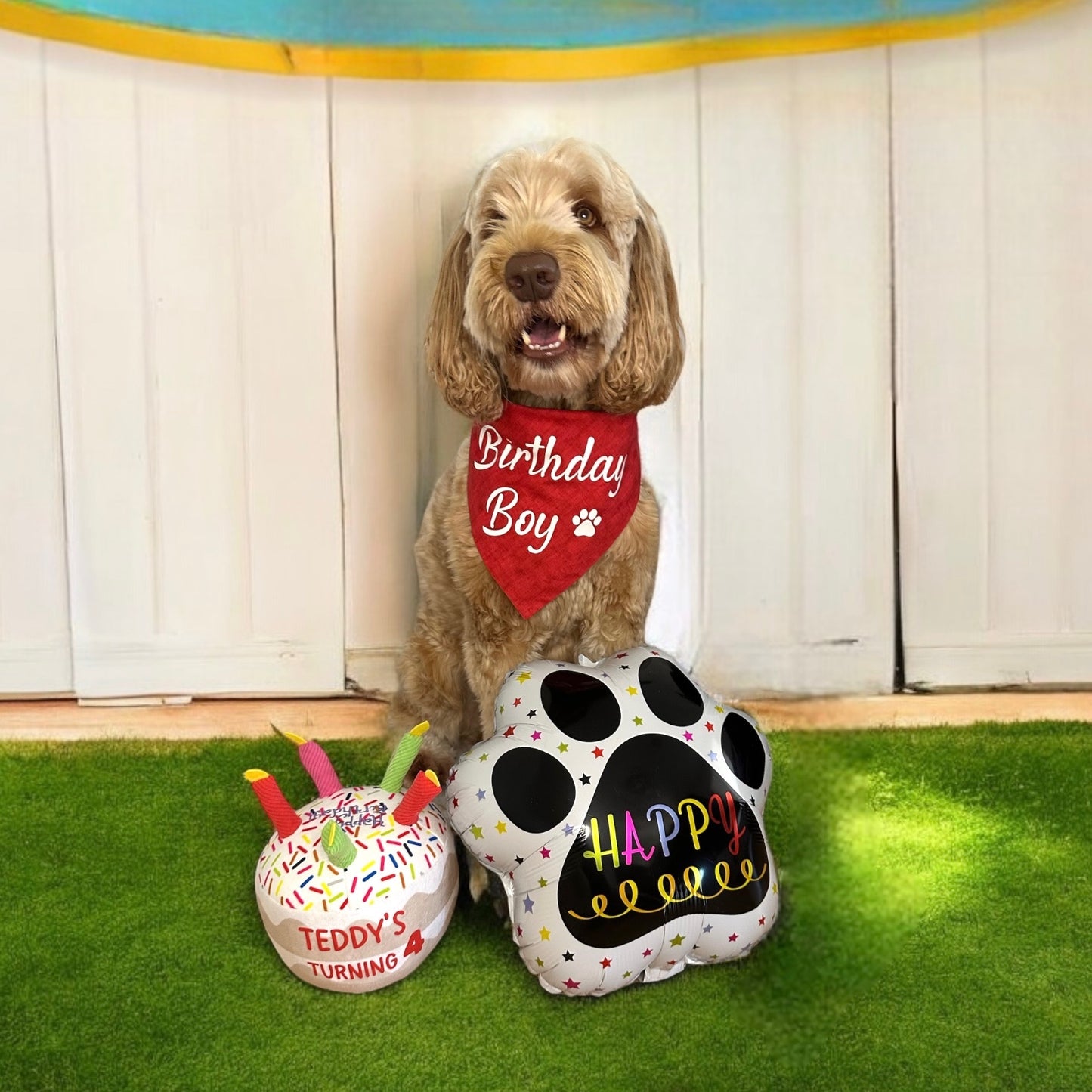Birthday Package - Bandana, toy & Balloon