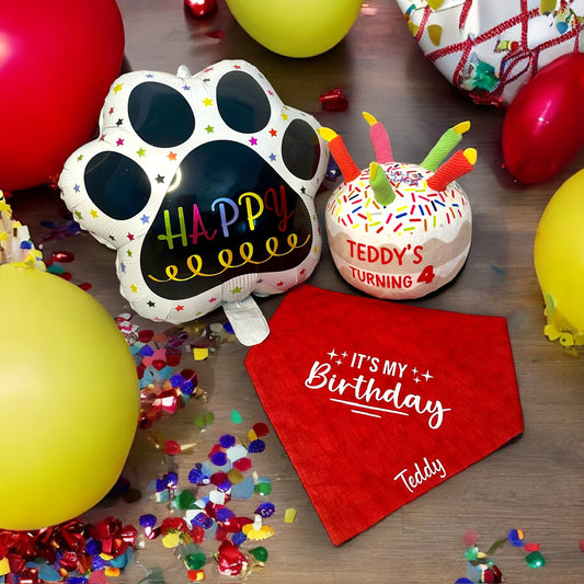 Birthday Package - Bandana, toy & Balloon