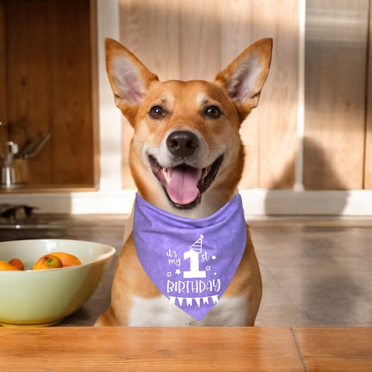 It's my 1st Birthday Reversible Dog Bandana