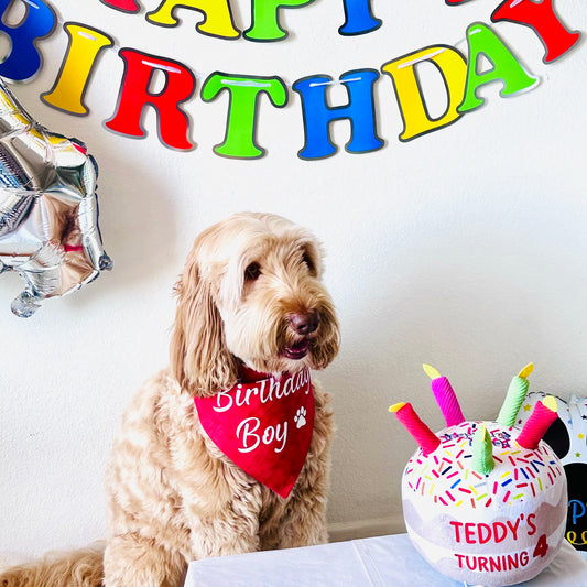 "Birthday Boy" Bandana