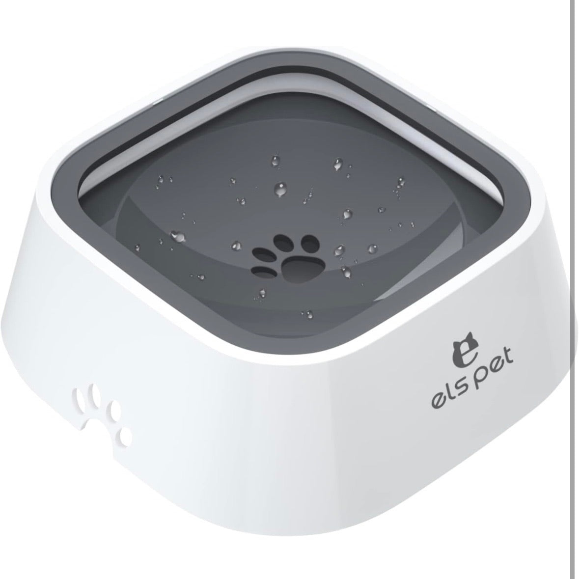 Pawsonalized Pet Water Bowl
