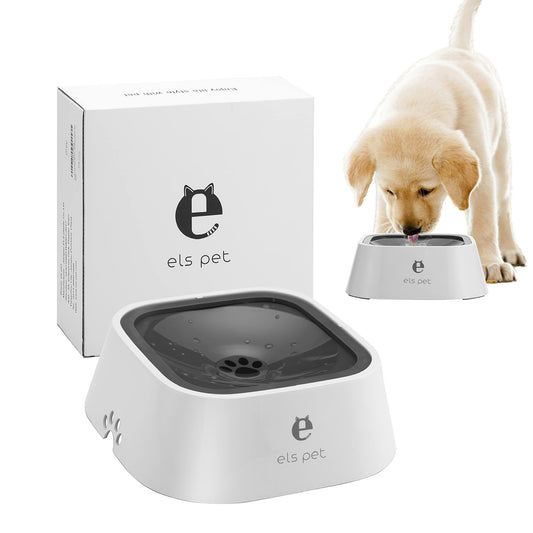Pawsonalized Pet Water Bowl