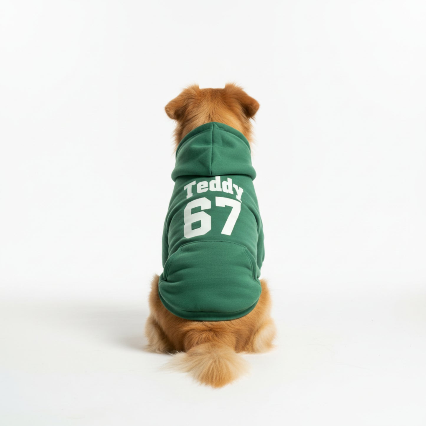 Custom Team Spirit Dog Hoodie – Multiple Colors 🐾🏈