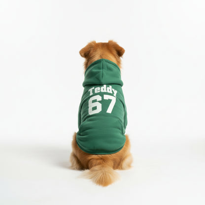 Custom Team Spirit Dog Hoodie – Multiple Colors 🐾🏈