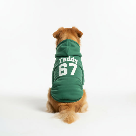Custom Team Spirit Dog Hoodie – Multiple Colors 🐾🏈