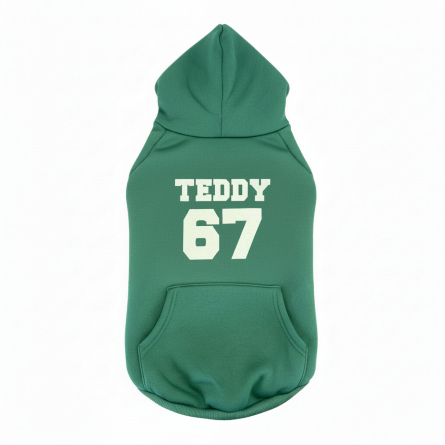 Custom Team Spirit Dog Hoodie – Multiple Colors 🐾🏈