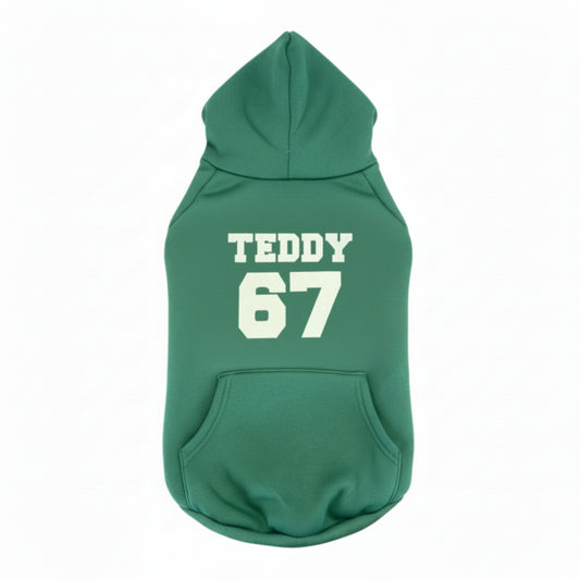 Custom Team Spirit Dog Hoodie – Multiple Colors 🐾🏈