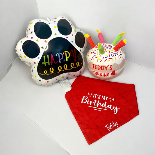 Birthday Package - Bandana, toy & Balloon