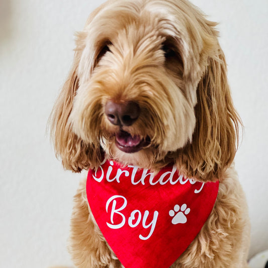 "Birthday Boy" Bandana