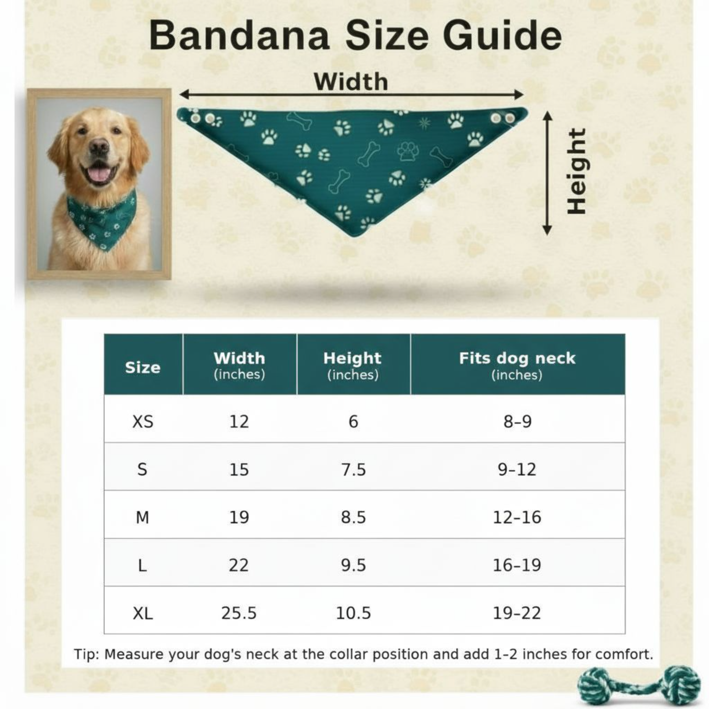 Dimensions Size Guide