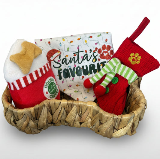 🐾 Festive Pup Holiday Gift Pack