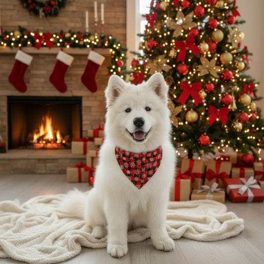 Snowflake Plaid Christmas Dog Bandana ❄️🐾