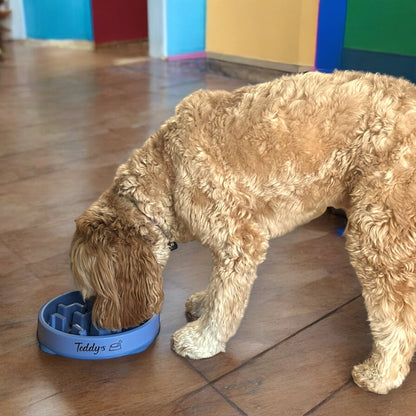 Pawsonalized Slow Feeder Dog Bowl