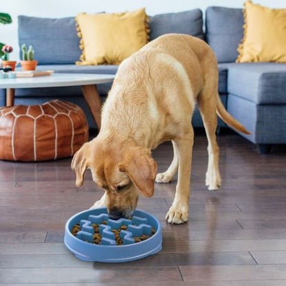 Pawsonalized Slow Feeder Dog Bowl